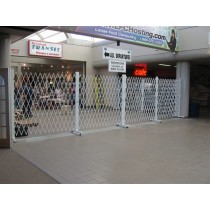 Expandable Trackless Barriers 